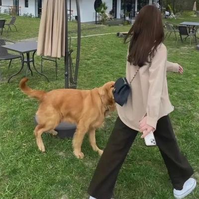 我想念我自己